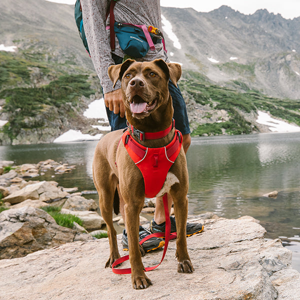 Ruffwear