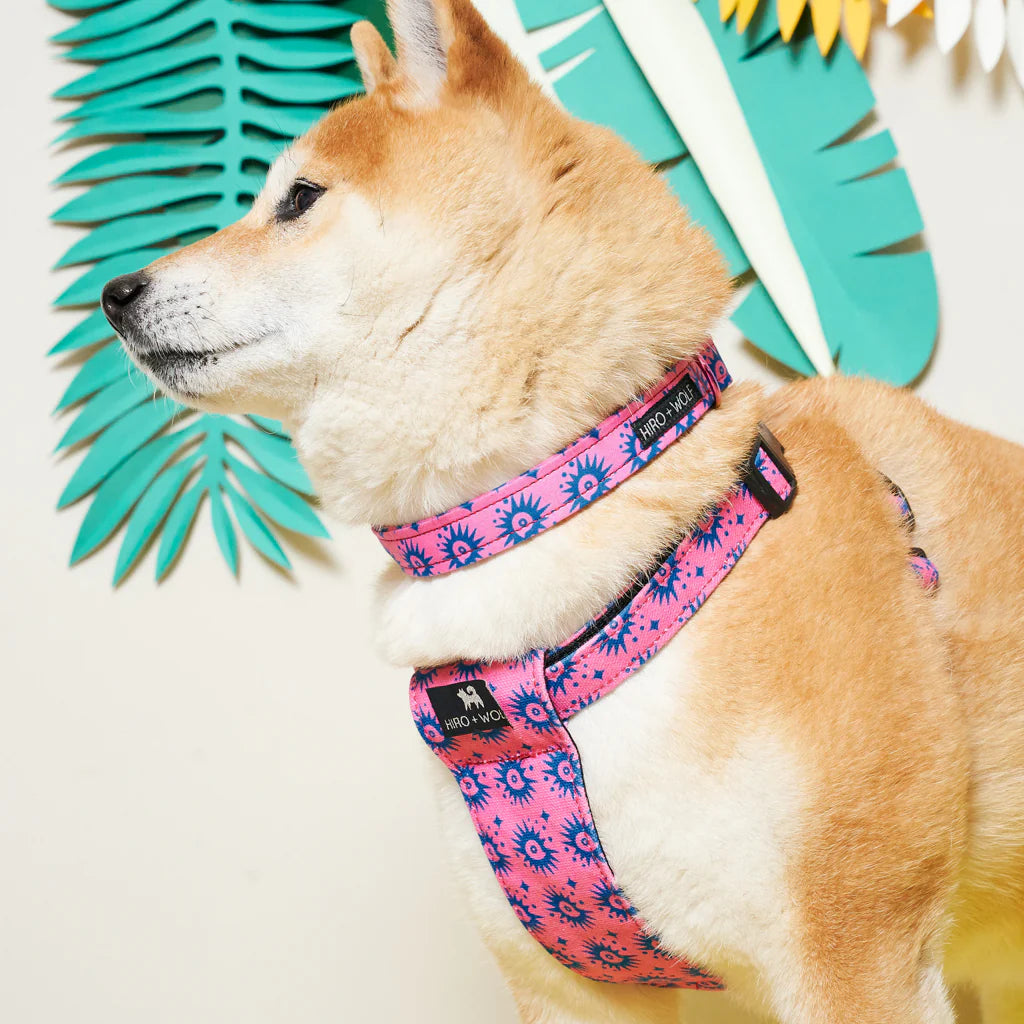 Hiro + Wolf Nebula Vegan Quick-Release Adjustable Dog Collar The Stately Hound