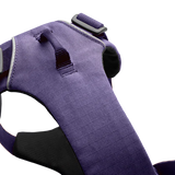 Ruffwear Front Range Harness – Adventure-Ready in Purple Sage The Stately Hound