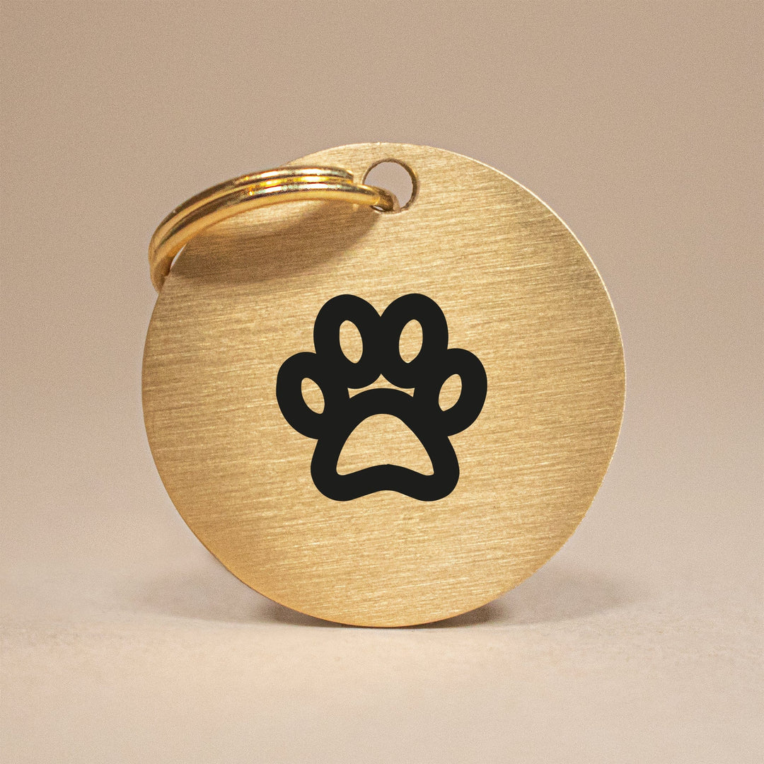 Engraved Brass Paw Design Pet Tag - Elegant & Secure