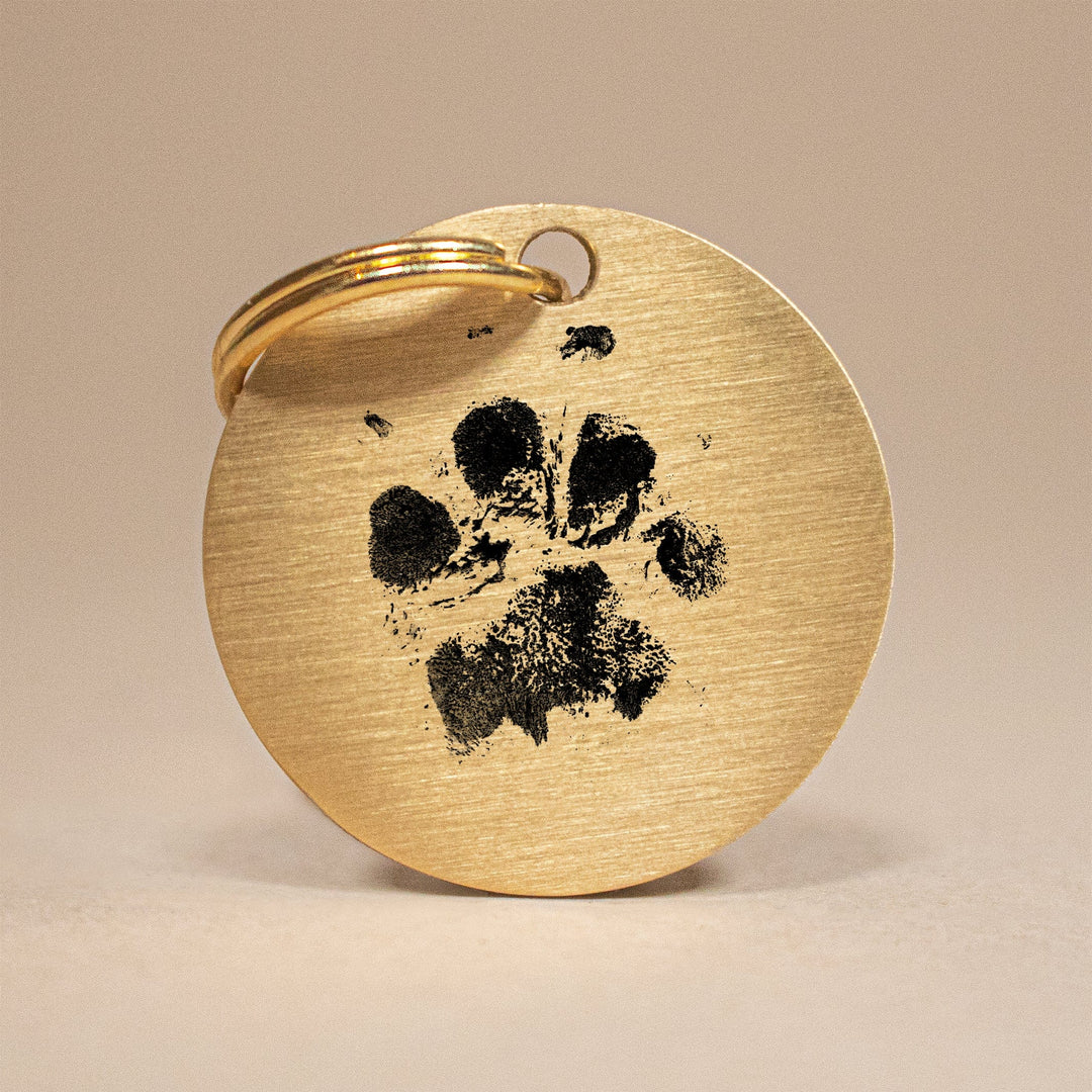 Personalised Brass Paw Print Pet Tag – The Perfect Gift & ID Keepsake