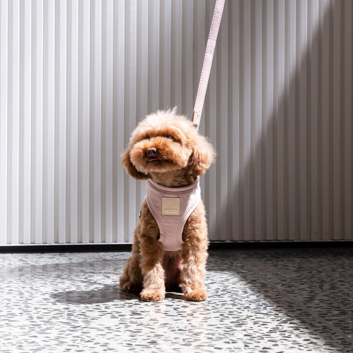 Step in Dog Harness 'FuzzYard Life' Blush Pink