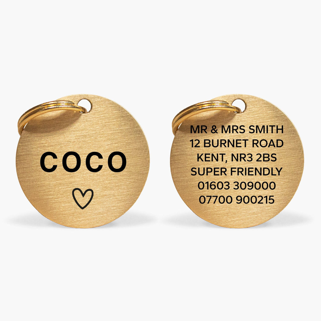 Custom Dog Tag in Gold Brass with Pet Name & Contact Info
