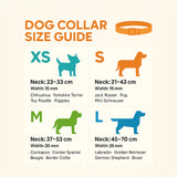 Adjustable Green & White Geometric Dog Collar - Water-Resistant & Durable The Stately Hound