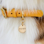 Amber Yellow Leather Dog Collar – Stylish & Soft The Stately Hound