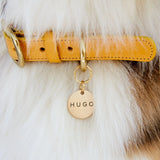 Amber Yellow Leather Dog Collar – Stylish & Soft The Stately Hound