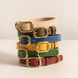 Autumn Maple Brown Leather Dog Collar – Premium Quality The Stately Hound
