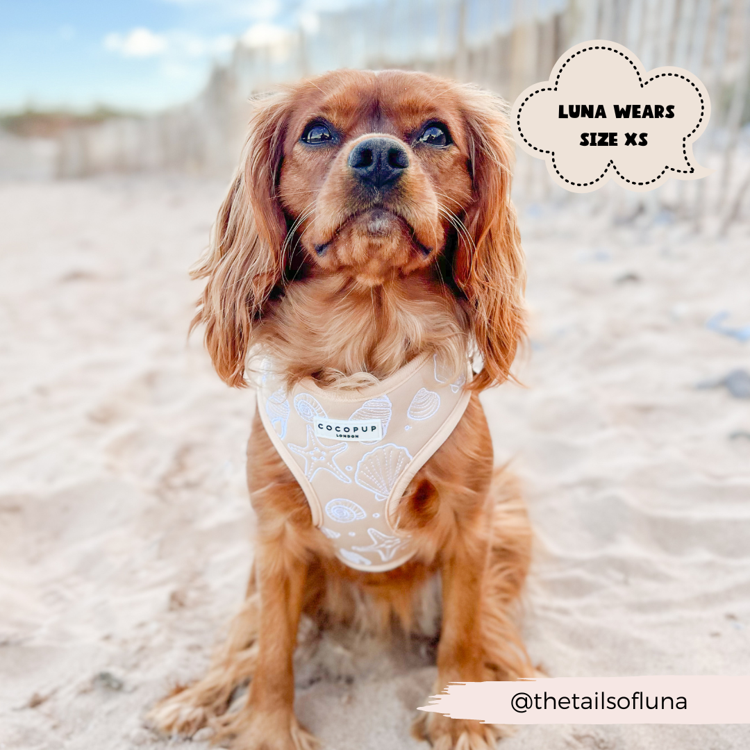 Cocopup Luxe Adjustable Dog Harness – Seashell Design The Stately Hound