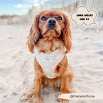 Cocopup Luxe Adjustable Dog Harness – Seashell Design The Stately Hound