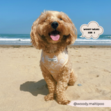 Cocopup Luxe Adjustable Dog Harness – Seashell Design The Stately Hound