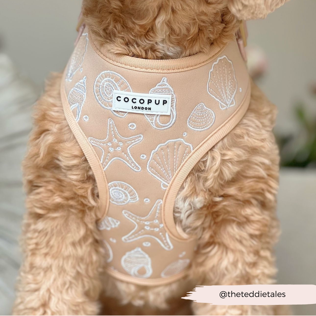 Cocopup Luxe Adjustable Dog Harness – Seashell Design The Stately Hound