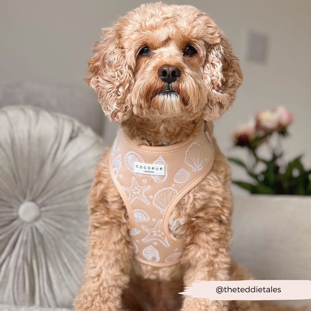 Cocopup Luxe Adjustable Dog Harness – Seashell Design The Stately Hound