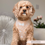 Cocopup Luxe Adjustable Dog Harness – Seashell Design The Stately Hound