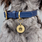 Custom-Engraved Brass Pet Name Tag – Choose Your Unique Symbol The Stately Hound
