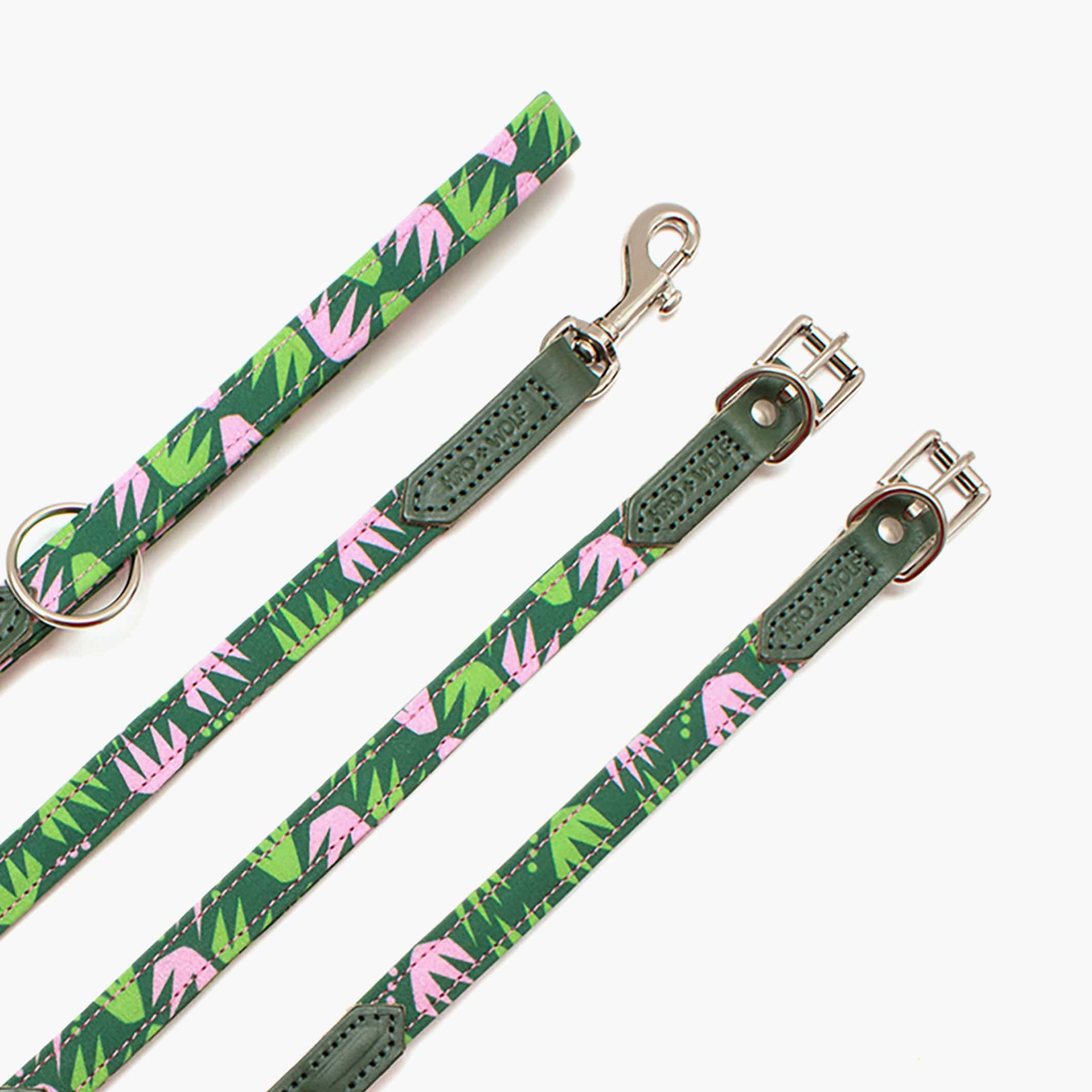 Hiro + Wolf Combs Dog Collar: Sustainable, Stylish and Adjustable The Stately Hound