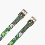 Hiro + Wolf Combs Dog Collar: Sustainable, Stylish and Adjustable The Stately Hound