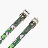 Hiro + Wolf Combs Dog Collar: Sustainable, Stylish and Adjustable The Stately Hound