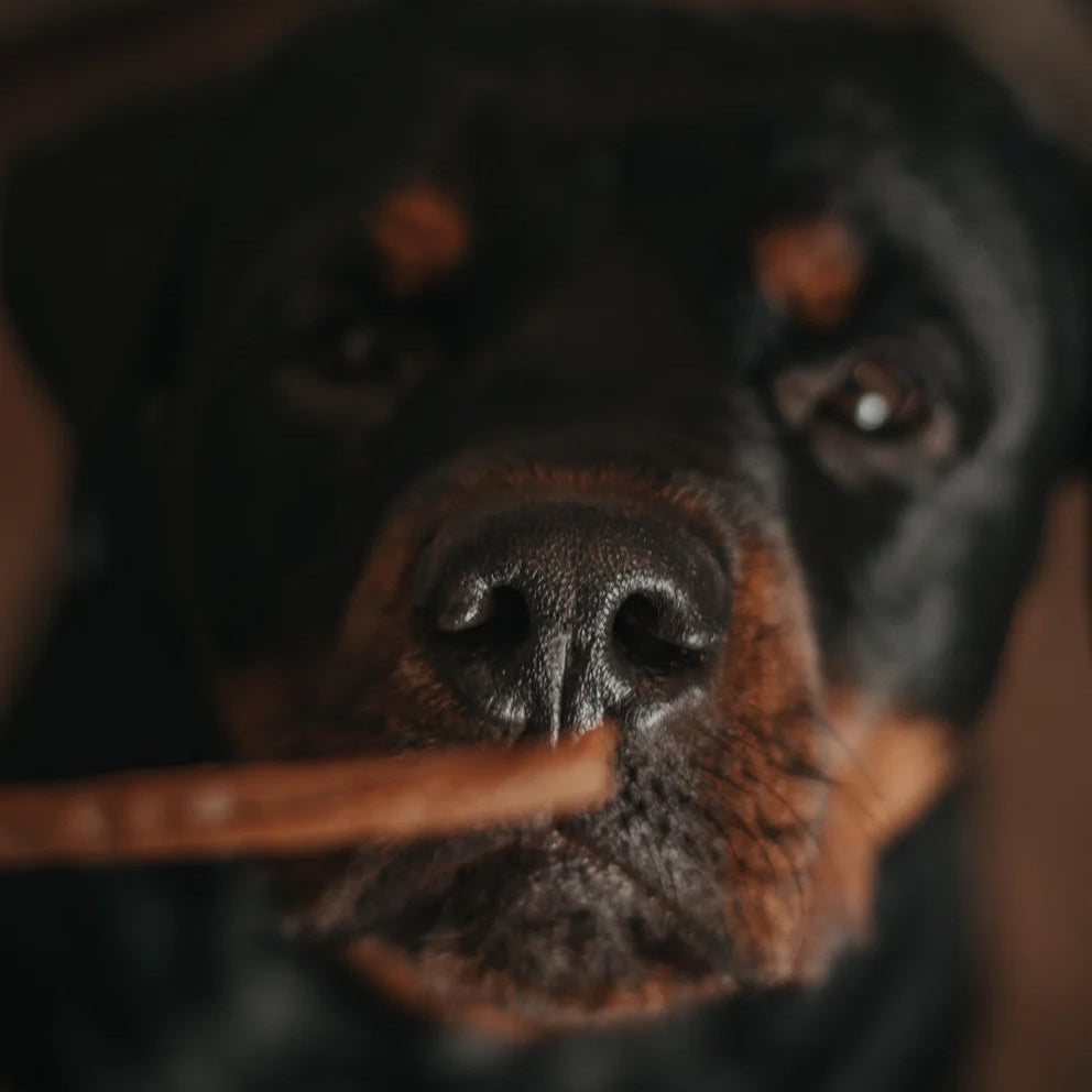 JR Pet Pure Chicken Sticks – 100% Natural, Grain-Free Dog Treats The Stately Hound