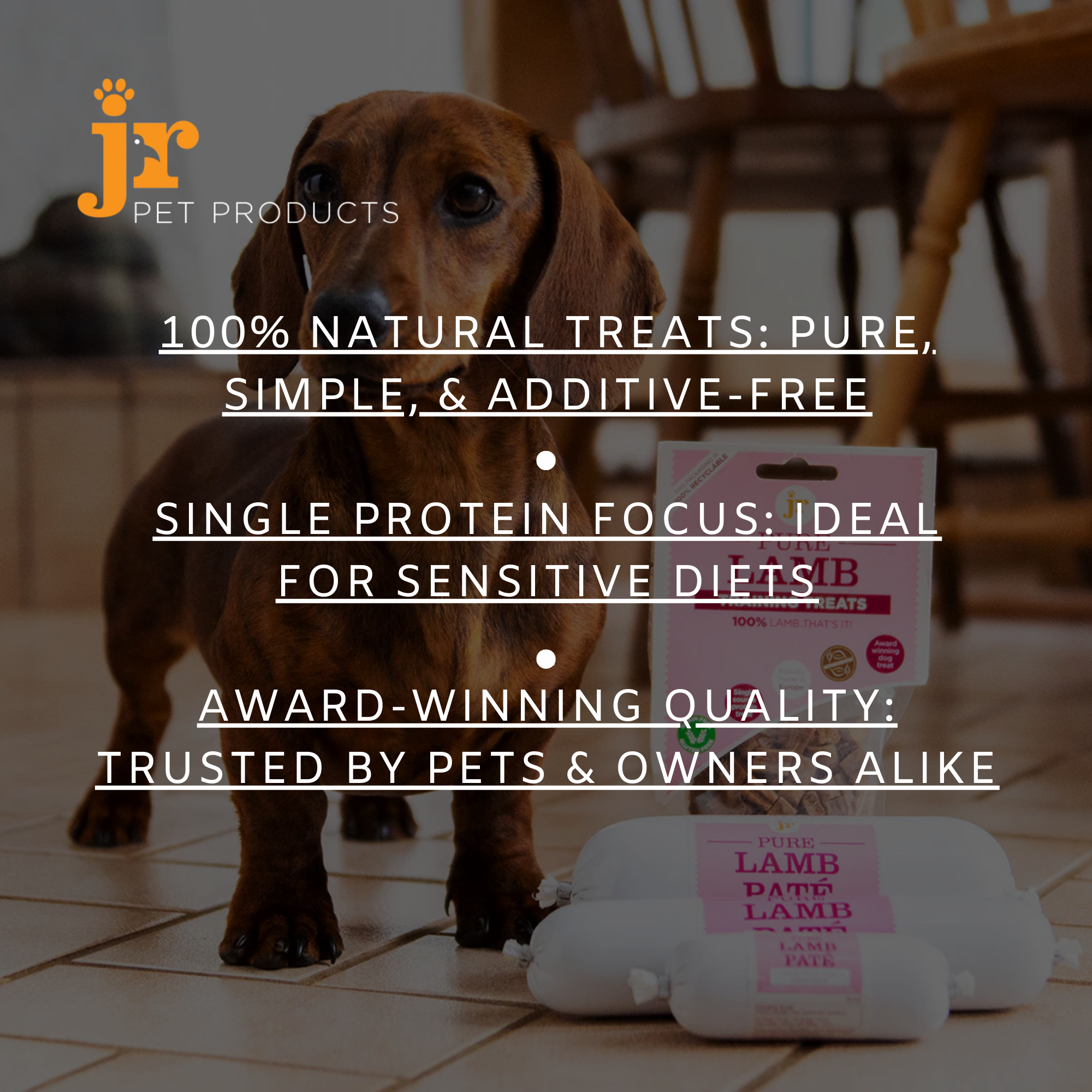 JR Pet Pure Venison Sticks – 100% Natural, Hypoallergenic Dog Treats The Stately Hound