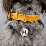 Luxury Silver Stainless Steel Dog Name Tag – Monogrammed, Durable, and Personalised The Stately Hound