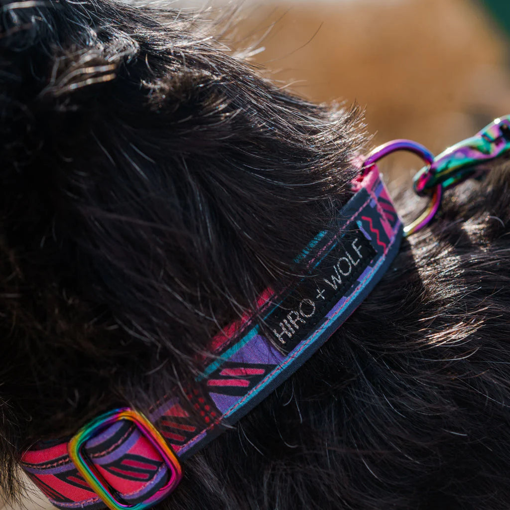 Close-up of quick-release buckle and metal D-ring on Mud Cloth dog collar - fully adjustable