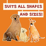 Natural Vegan Dog Treats - Benevo Pawtato Blueberry Sticks The Stately Hound