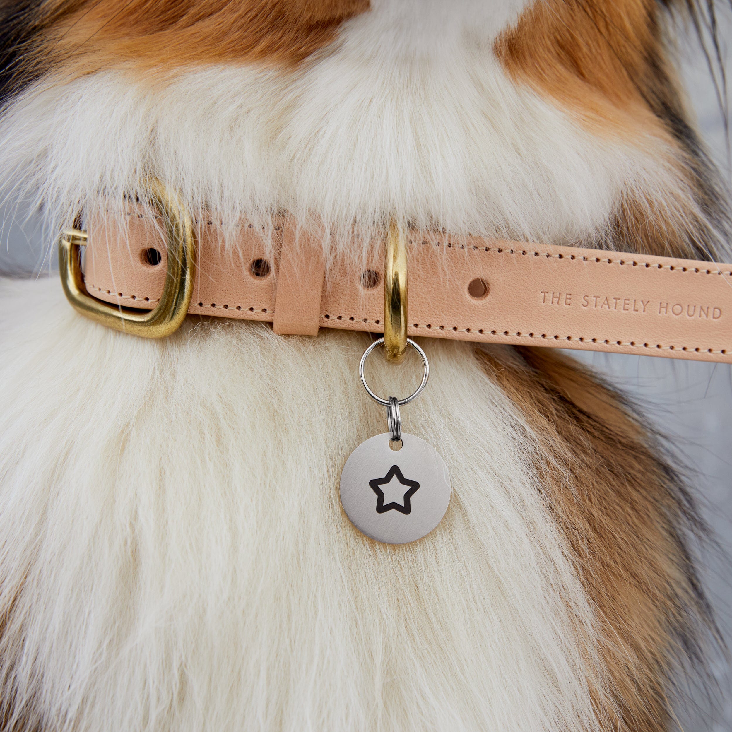 No-Name Silver Stainless Steel Dog Tag with Star Engraving & Custom Contact Info The Stately Hound