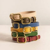 Olive Green Leather Dog Collar – Comfortable for Everyday Use The Stately Hound