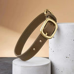 Olive Green Leather Dog Collar – Comfortable for Everyday Use The Stately Hound