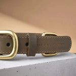 Olive Green Leather Dog Collar – Comfortable for Everyday Use The Stately Hound