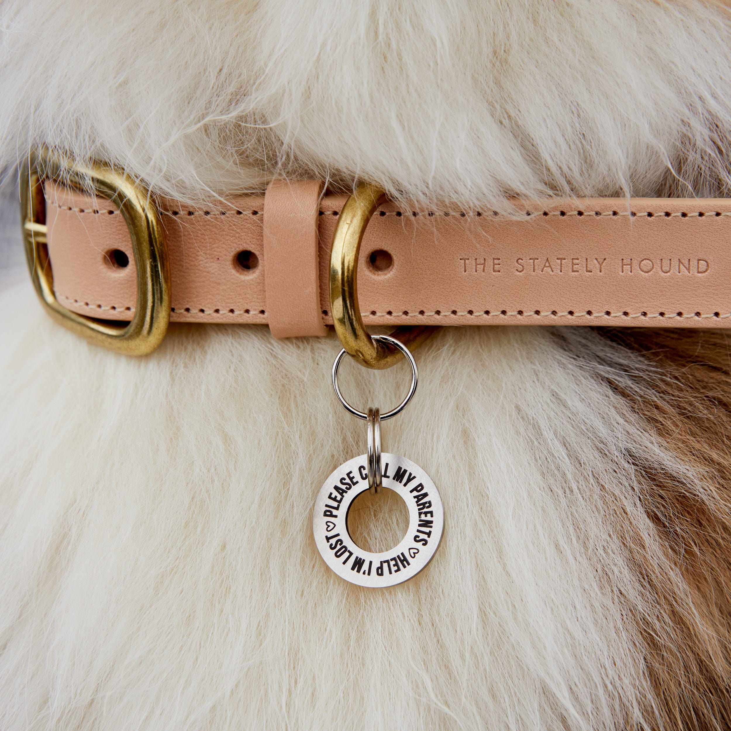 Personalised Silver Stainless Steel Washer Dog Tag - Stylish, Durable & Safe ID The Stately Hound
