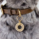 Personalised Washer Dog Name Tag, Stylish, Durable & Safe ID Tag in Gold Coloured Brass The Stately Hound