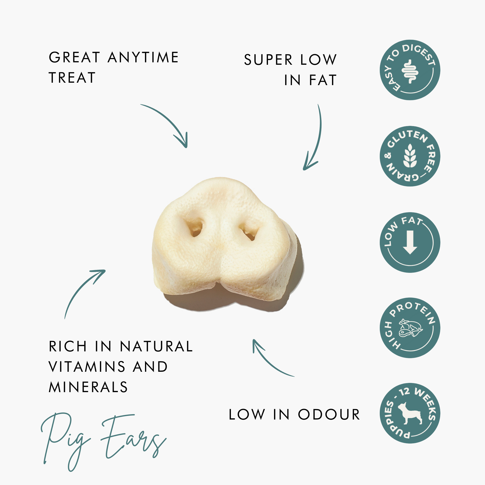 Puffed Pig Snout Dog Treats | Low-Fat, High-Protein, and Easily Digestible The Stately Hound