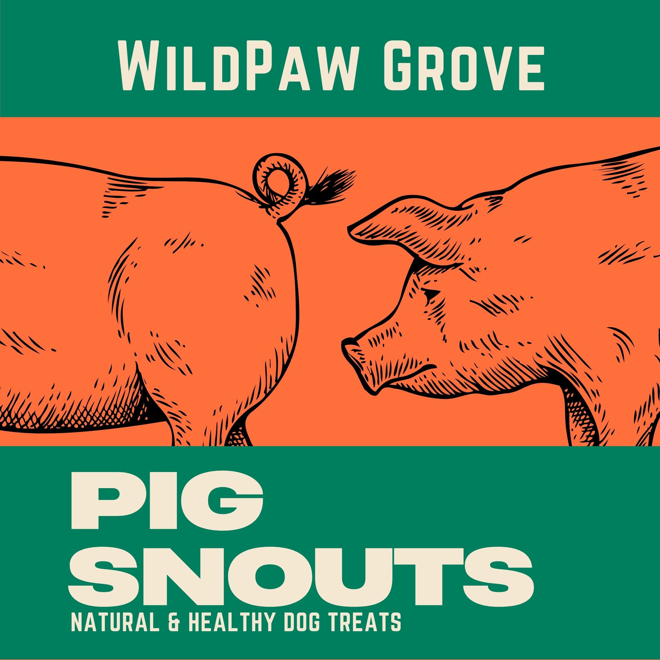 Puffed Pig Snout Dog Treats | Low-Fat, High-Protein, and Easily Digestible The Stately Hound