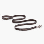 Ruffwear Flat Out Rocky Mountains Dog Lead – Built for Outdoor Adventures The Stately Hound