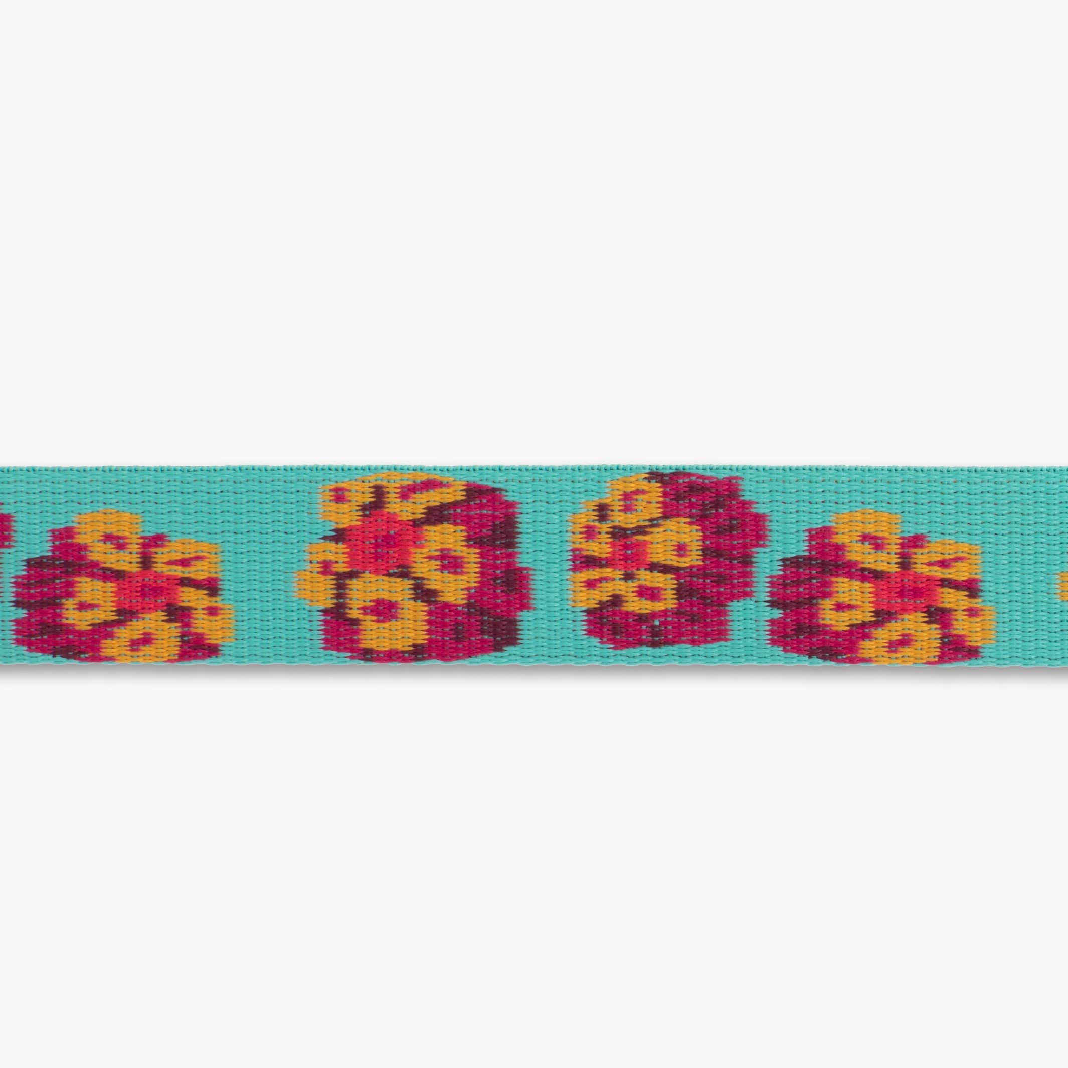 Ruffwear Flat Out Spring Burst Dog Collar – Stylish & Durable for Active Dogs The Stately Hound