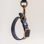 Sapphire Blue Leather Dog Collar – Luxury for Your Pet The Stately Hound