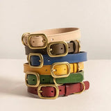 Sapphire Blue Leather Dog Collar – Luxury for Your Pet The Stately Hound