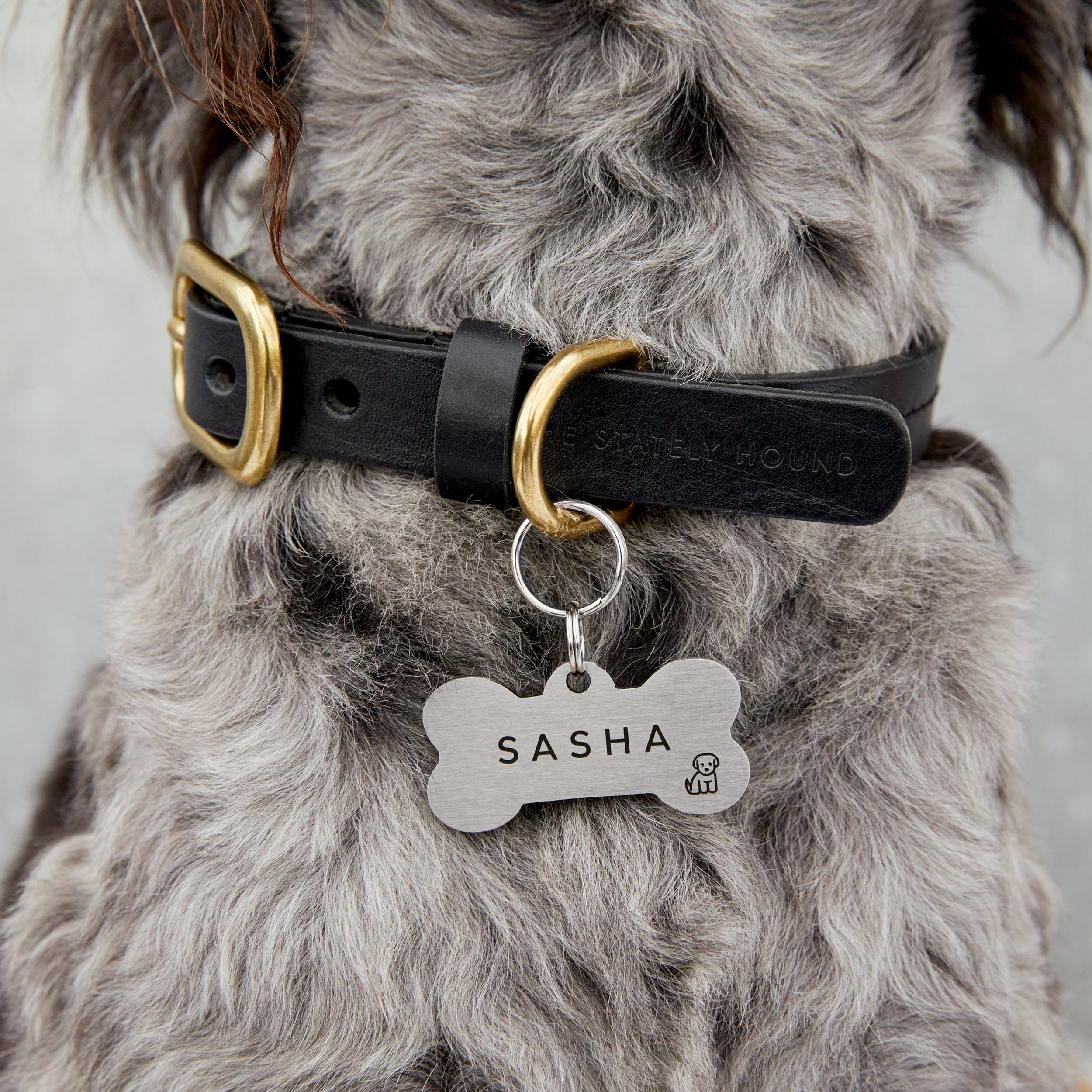 Silver Stainless Steel Bone Shaped Personalised Dog Name Tag The Stately Hound