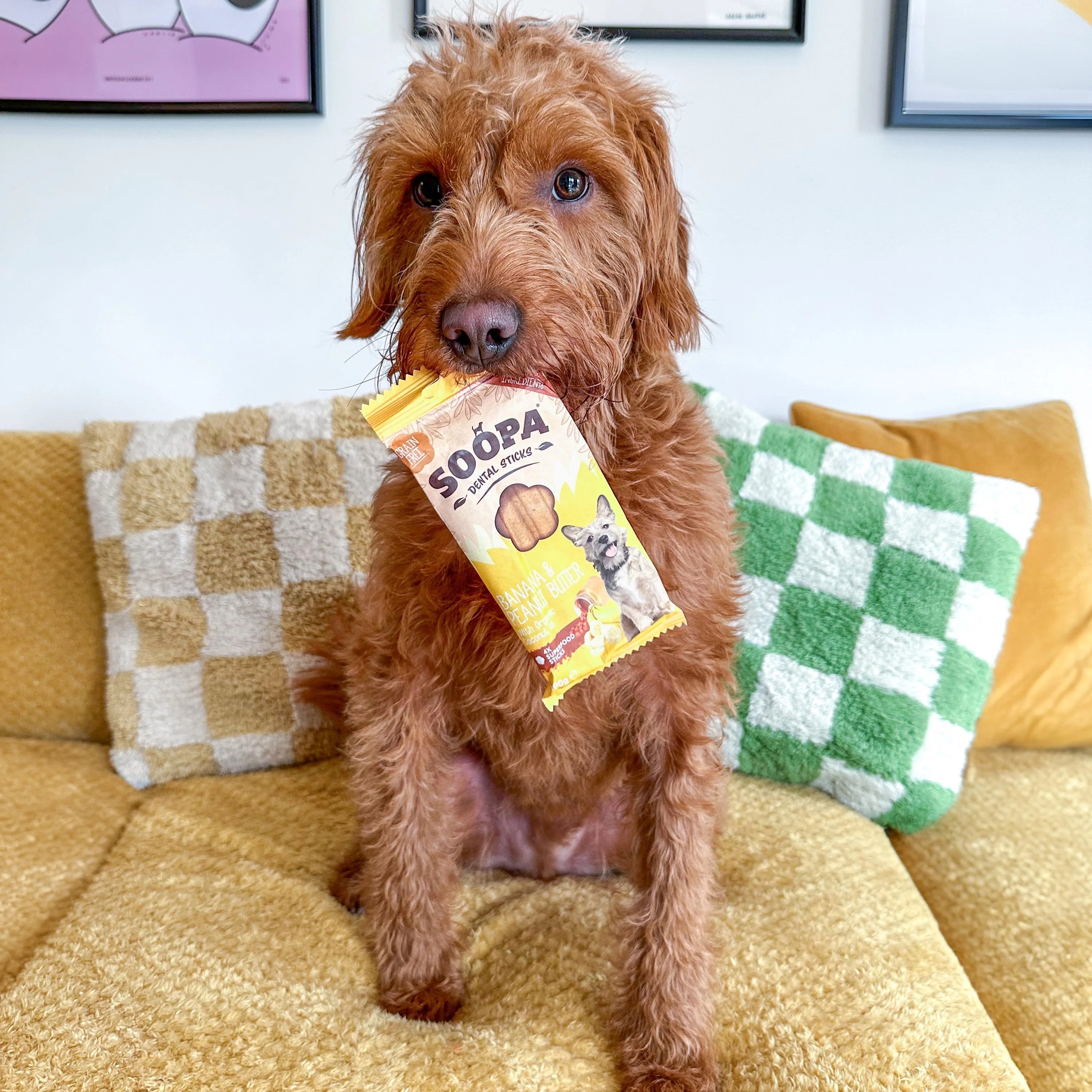 Soopa Banana & Peanut Butter Dental Sticks - Natural Dog Treats The Stately Hound