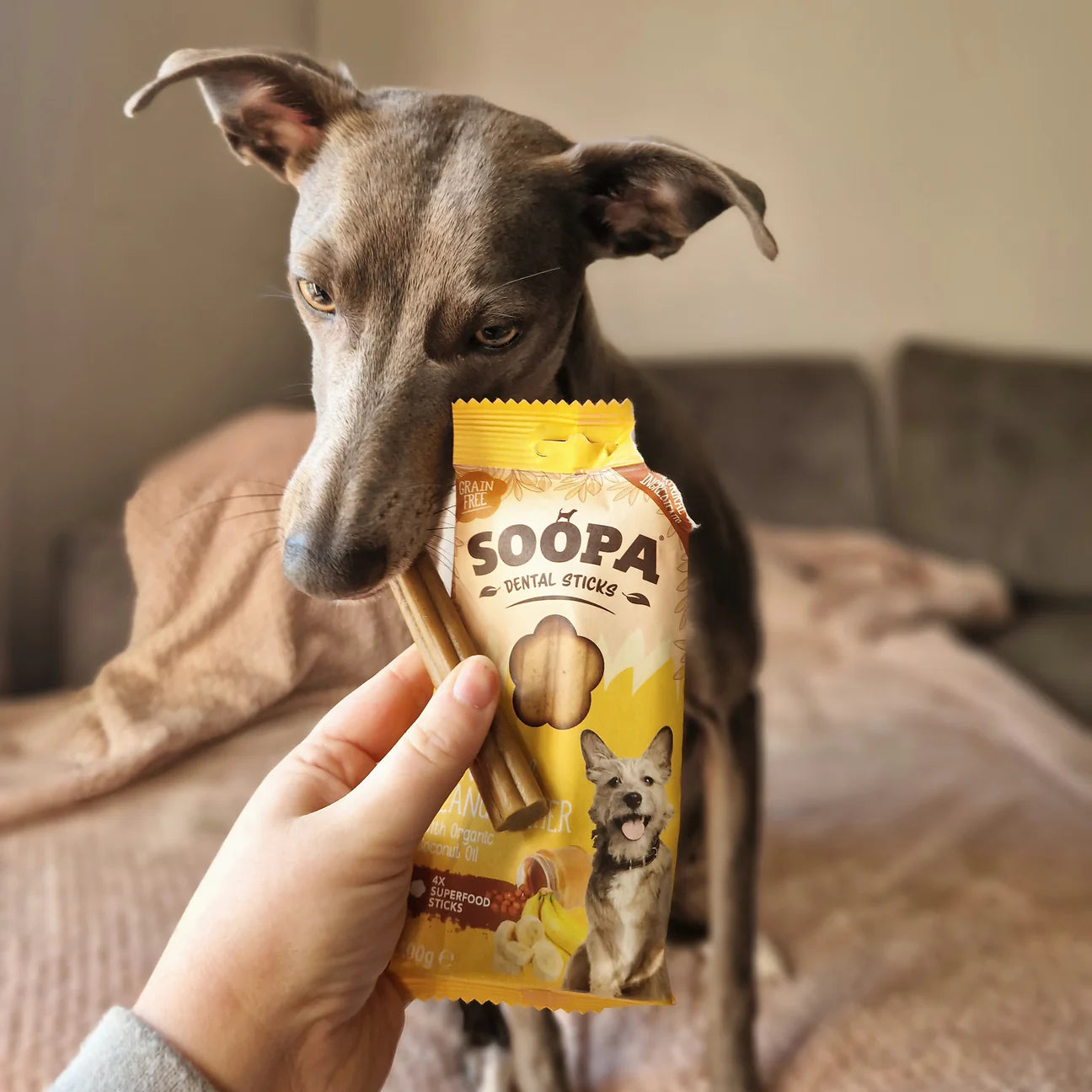 Soopa Banana & Peanut Butter Dental Sticks - Natural Dog Treats The Stately Hound