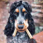Soopa Kale & Apple Dental Sticks - Natural Dog Treats The Stately Hound
