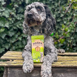 Soopa Kale & Apple Dental Sticks - Natural Dog Treats The Stately Hound