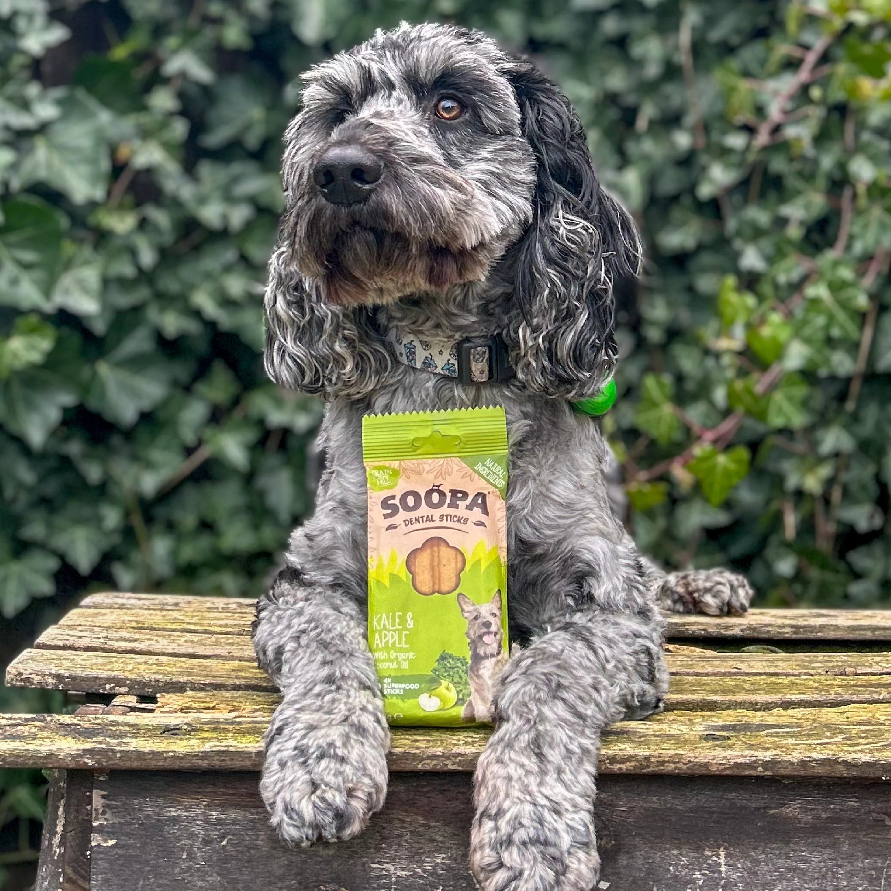 Soopa Kale & Apple Dental Sticks - Natural Dog Treats The Stately Hound