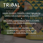 Tribal Rewards for Dogs – Apple, Mint & Ginger Treats 125g The Stately Hound