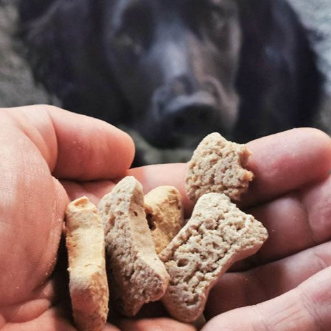 Tribal Rewards for Dogs – Apple, Mint & Ginger Treats 125g The Stately Hound