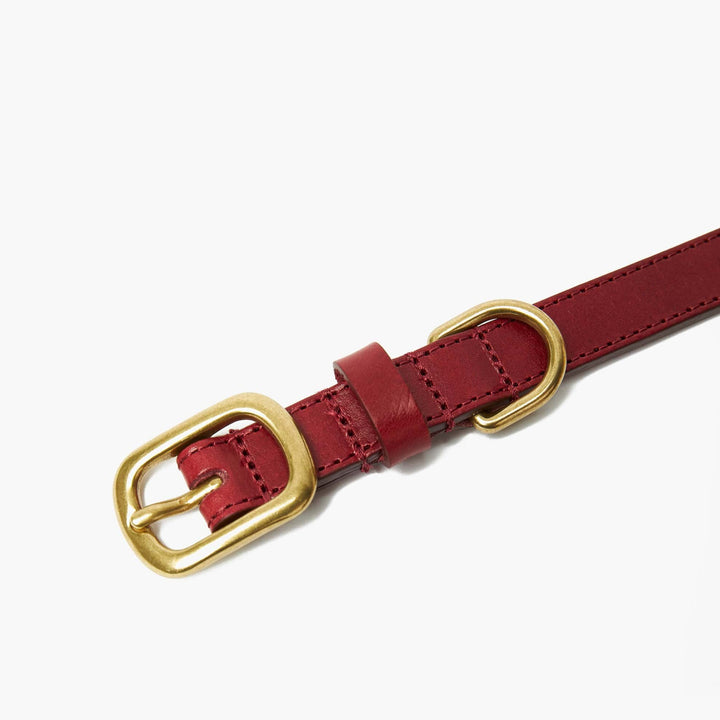 Hand-Stitched Premium Leather Dog Collar in Cherry Red with Brass Hardware
