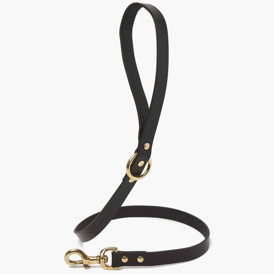 Brass Riveted Leather Dog Lead in Black
