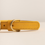 Amber Yellow Leather Dog Collar – Stylish & Soft The Stately Hound