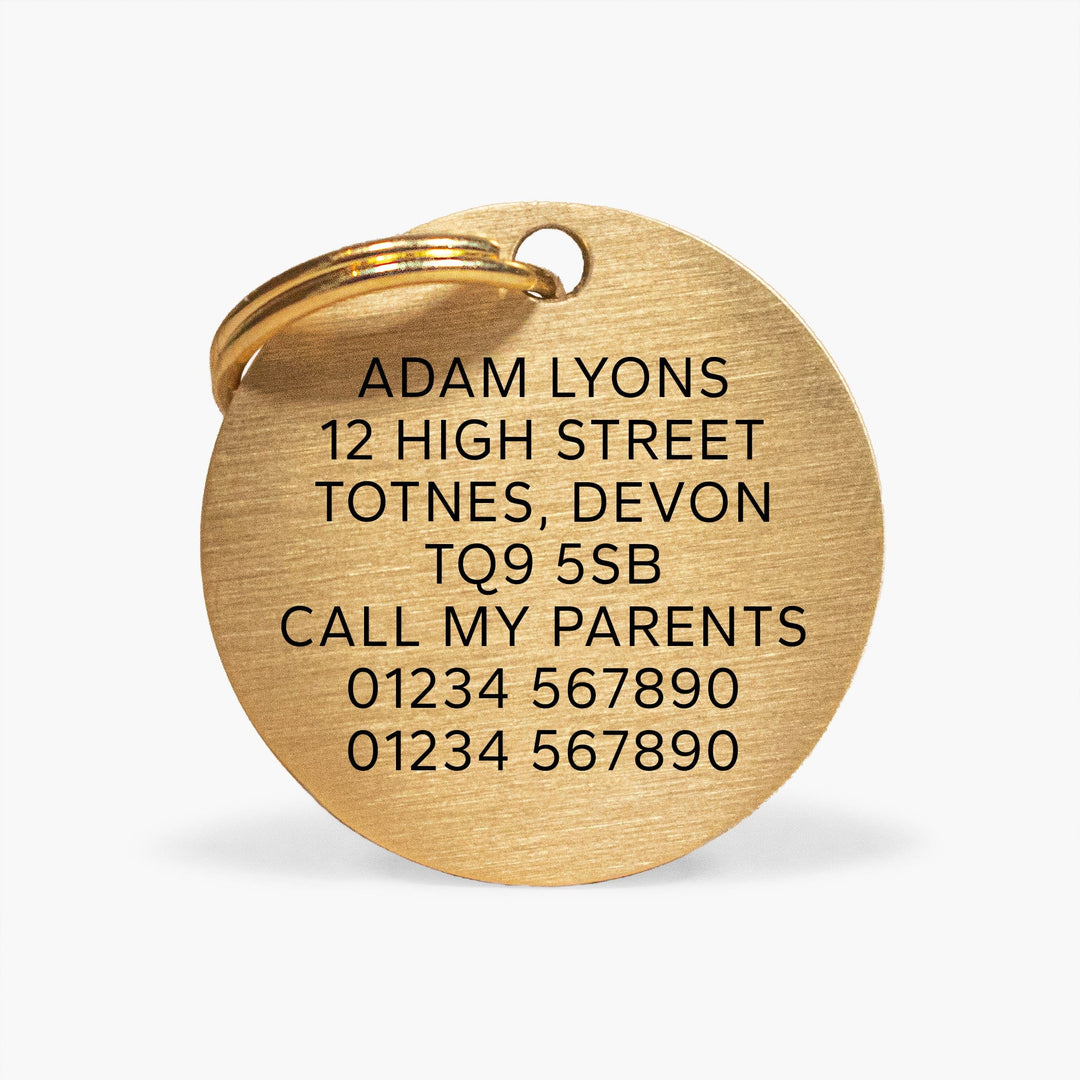 Personalised Brass Pet Tag with Cheeky Inscription - Durable, Made in the UK